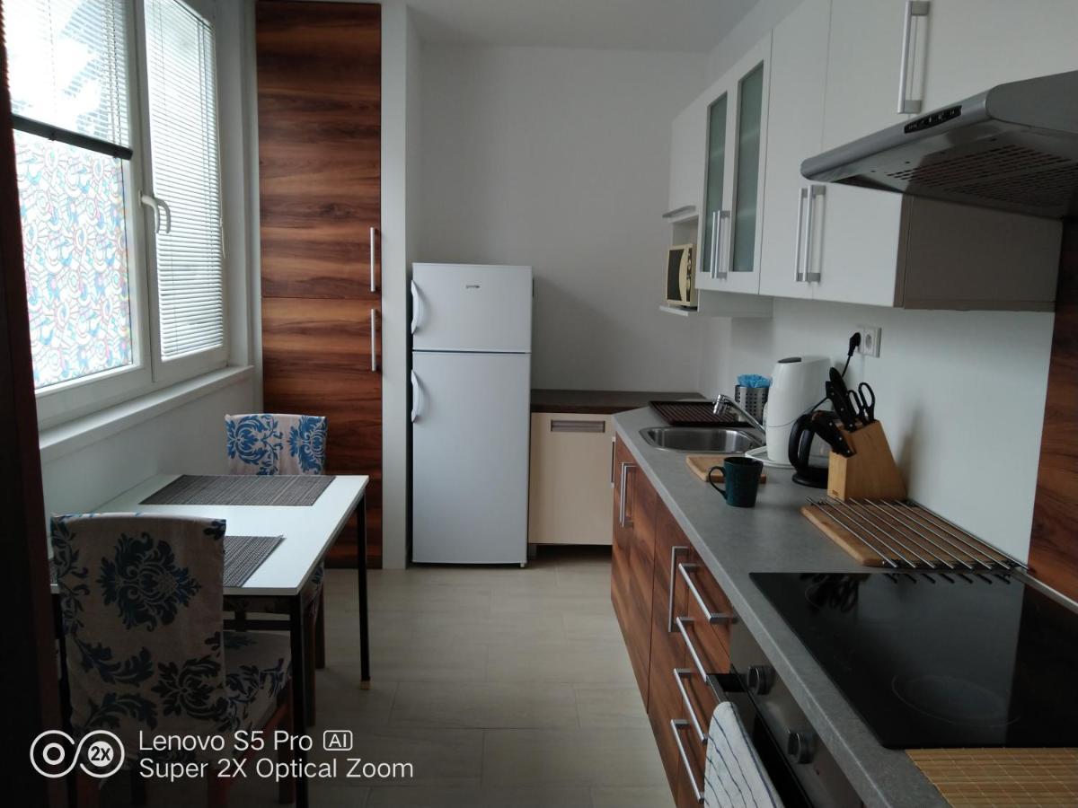 Apartman S Virivkou A Infrasaunou V Olomouci エクステリア 写真